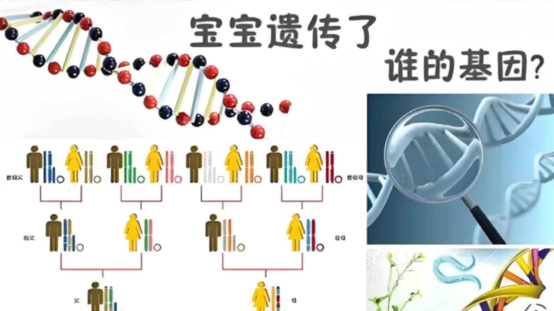 合肥包河区胎儿亲子鉴定指甲可以做吗